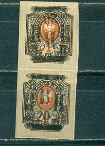 Николаевск -на - Амуре ( ДВР), Надпечатка обычная +перевёрнутая 20 к на 1  руб. без зубц.Новодел!